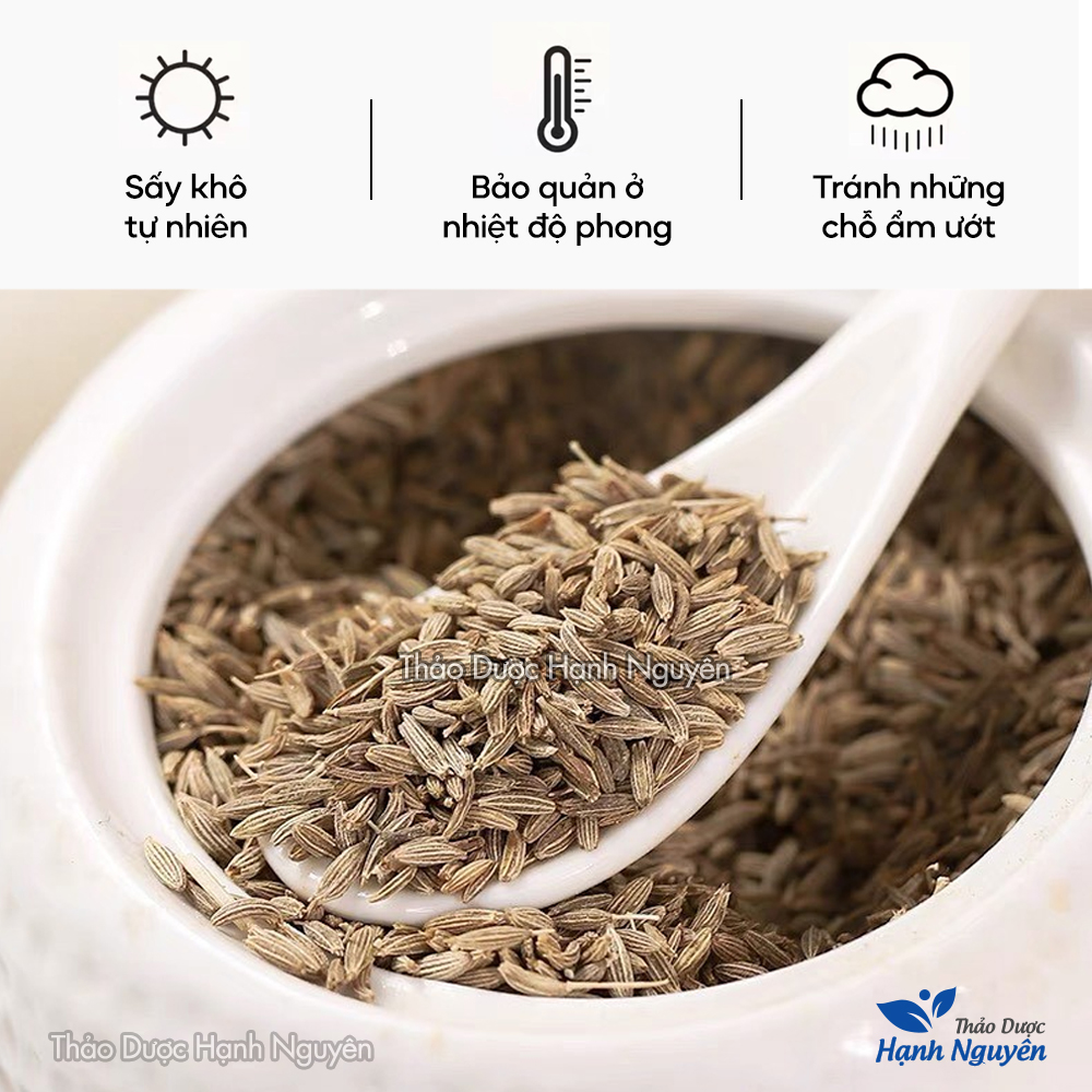 Hạt thì là Ấn Độ 100g (Cumin seed, gia vị thơm ngon cho món ăn) - Thảo Dược Hạnh Nguyên