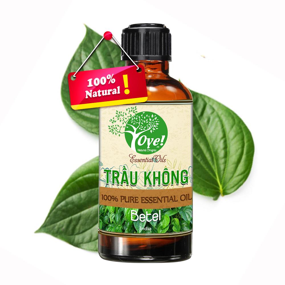 Tinh Dầu Trầu Không 50ml Nguyên Chất
