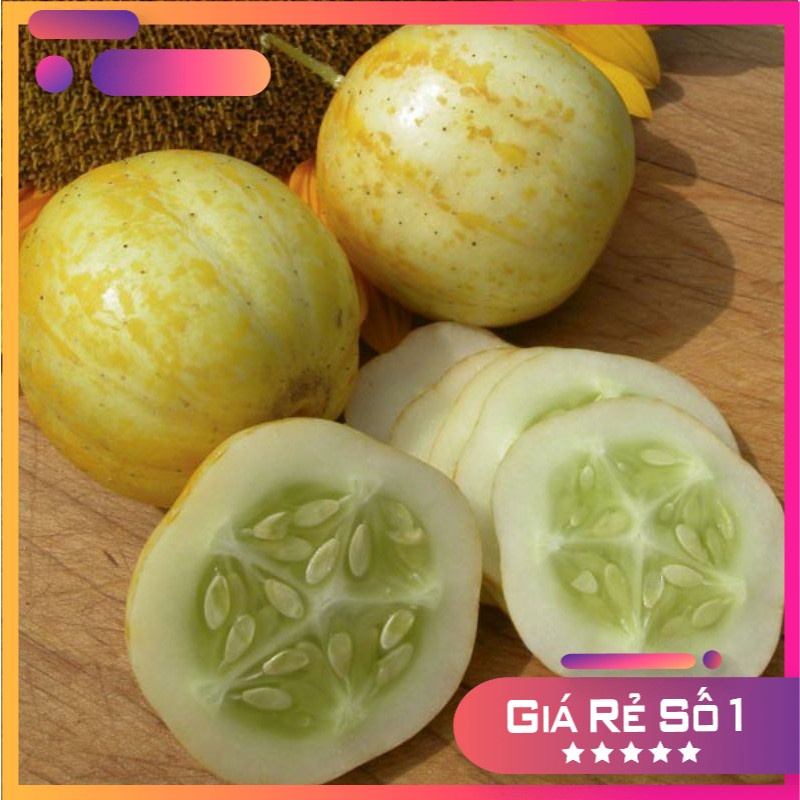 [ Siêu Hạt Giống ] (NK Mỹ) Hạt giống dưa chuột chanh Lemon - (30 hạt)