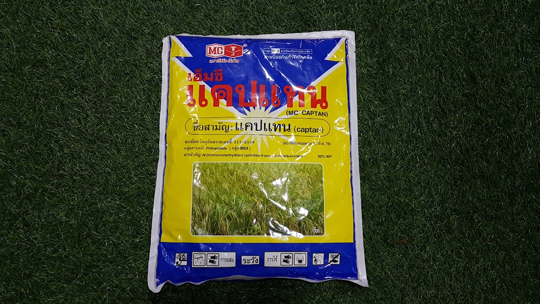 Captan thái lan phong trừ nấm bệnh thối nhũn và vi khuẫn cho hoa lan cây trồng. gói 1kg