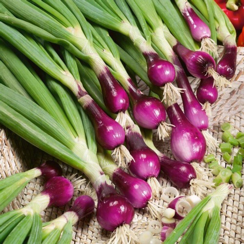 Hạt Giống H&agrave;nh L&aacute; Cao Sản Gốc T&iacute;m G&oacute;i 1gr - Sen V&agrave;ng Seeds