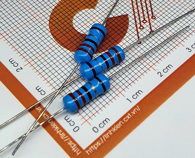 Điện trở vạch 2W 1% các giá trị (10 chiếc)