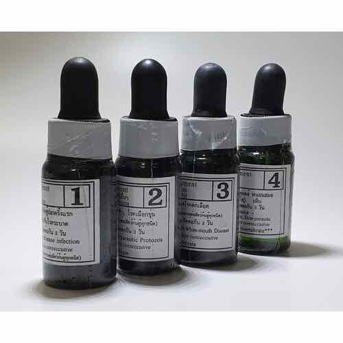 Combo 4 chai Bio Knock Thần thánh cho cá cảnh - Hàng Công Ty