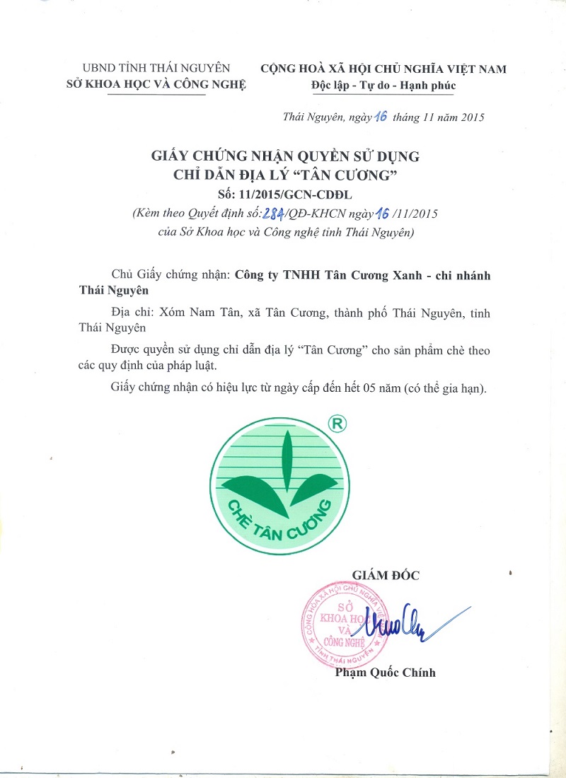 Bột Trà Xanh 100gr TÂN CƯƠNG XANH