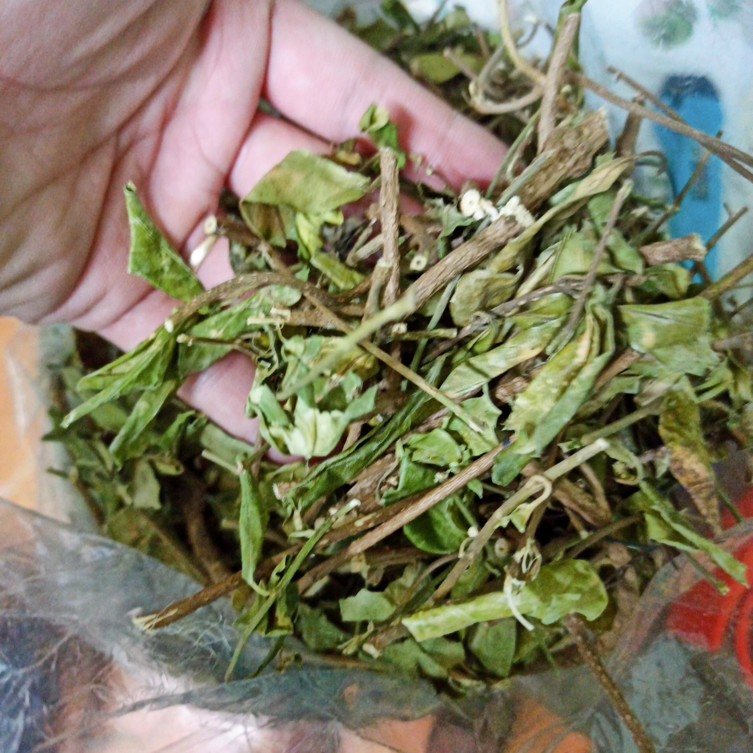 Dây thìa canh rừng (gói 1kg) - DV002