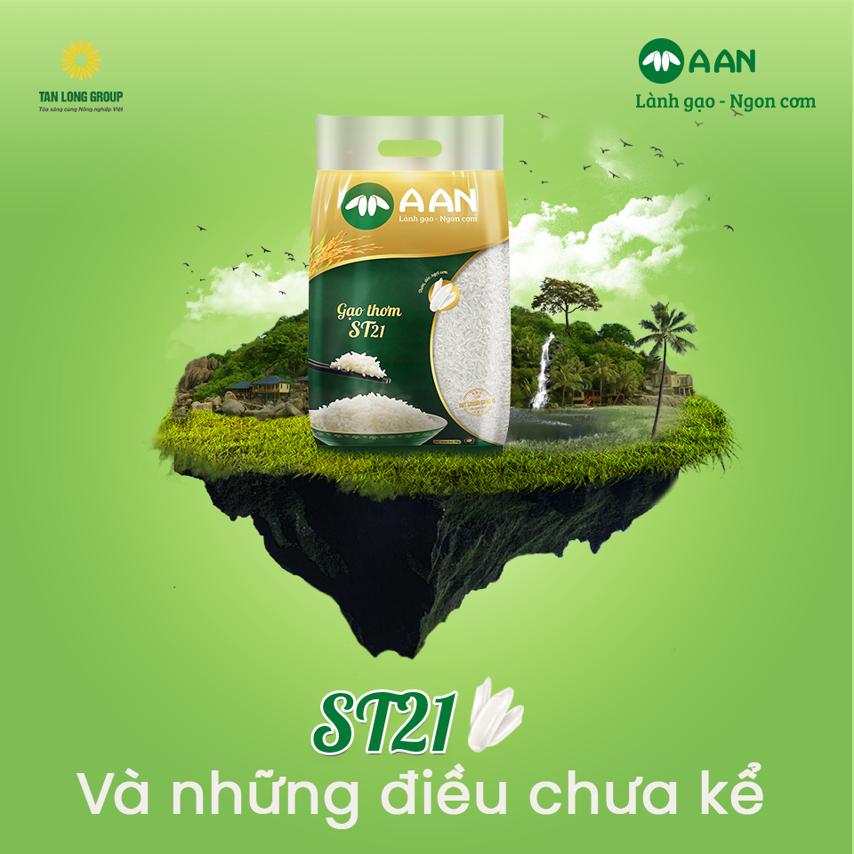 GẠO ST21 AAN -gạo dẻo thơm -bao 5kg