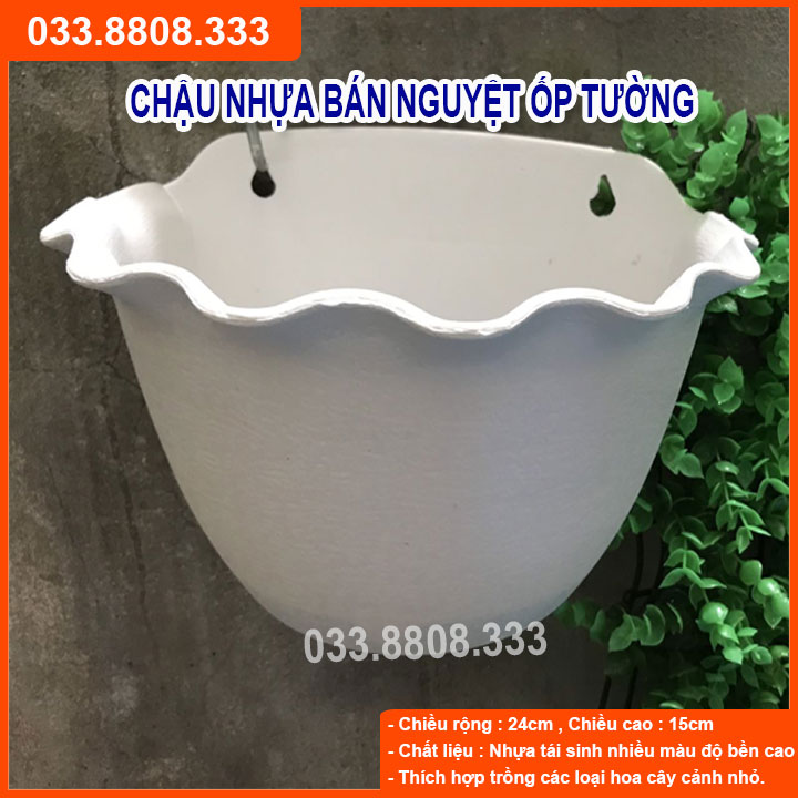 10 chậu nhựa trồng cây bán nguyệt treo tường - chậu ốp tường siêu xinh