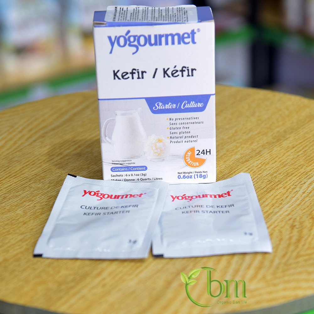 Men làm sữa chua Kefir - Vegan - Probiotic (Yógourmet)