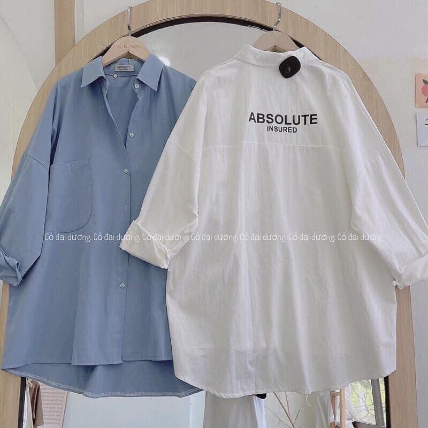 Áo sơ mi in chữ bsolute in lưng
