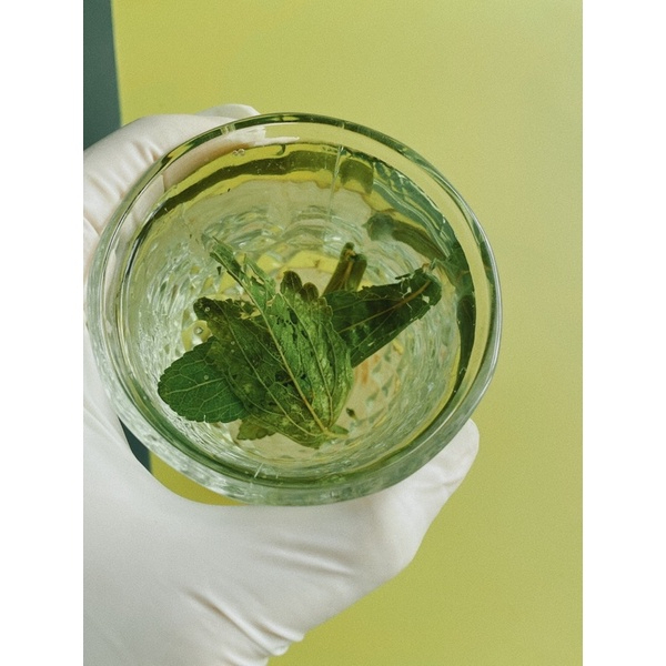 cỏ ngọt nguyên lá phơi khô 1kg