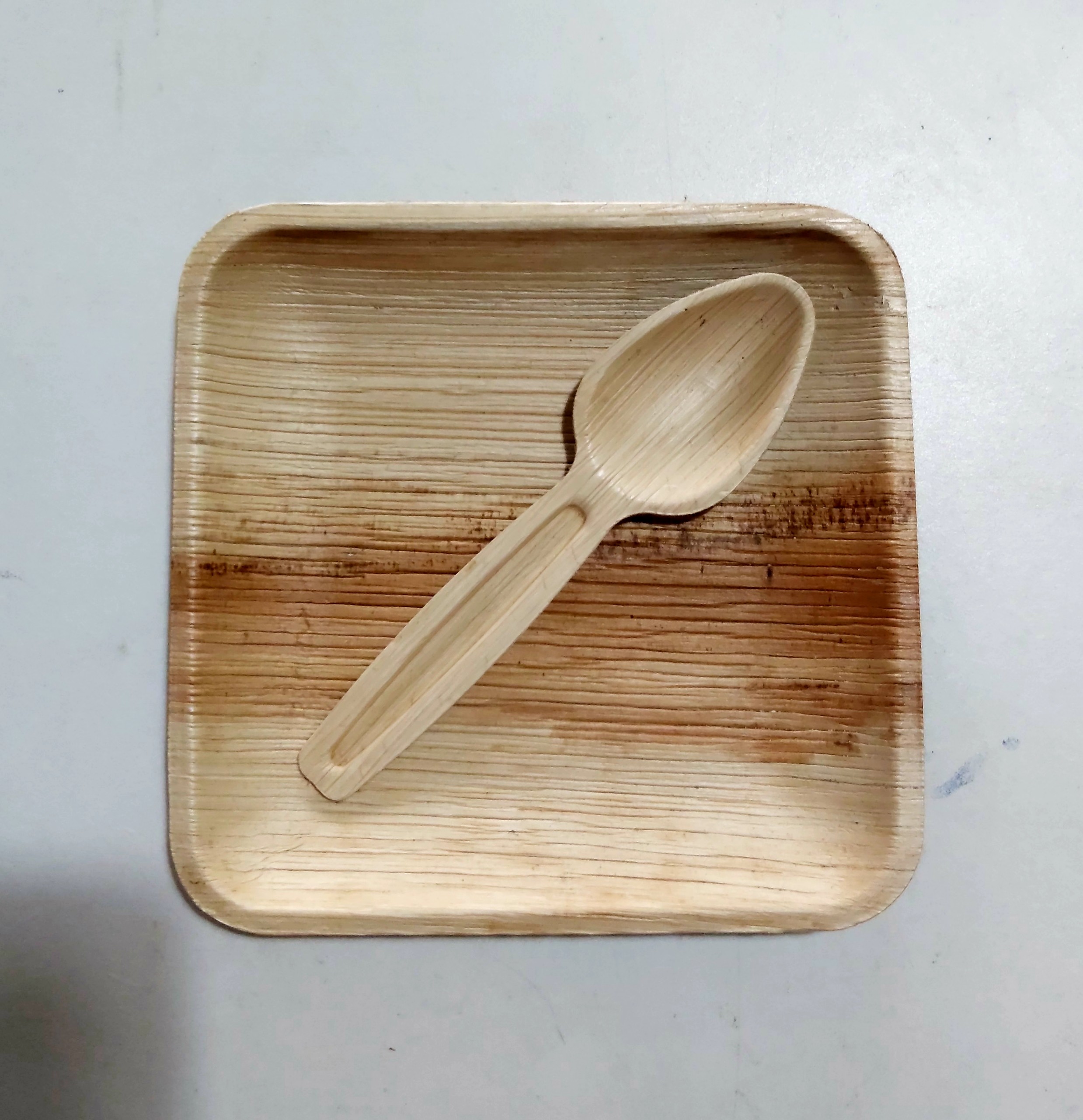 Combo 10 ĐĨA MO CAU VUÔNG dùng 1 lần thân thiện với môi trường