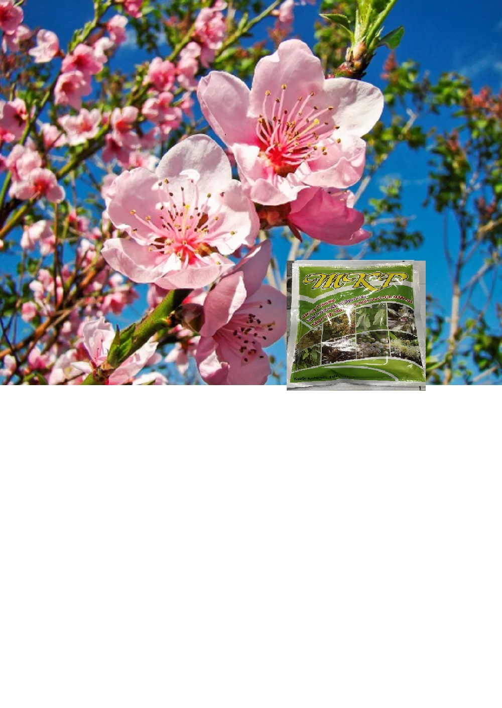 FLOWER Kích bông ra bông đồng loạt trên cây sầu riêng cam chanh quýt bưởi hoa đào hoa mai gói  500 gram (gói)