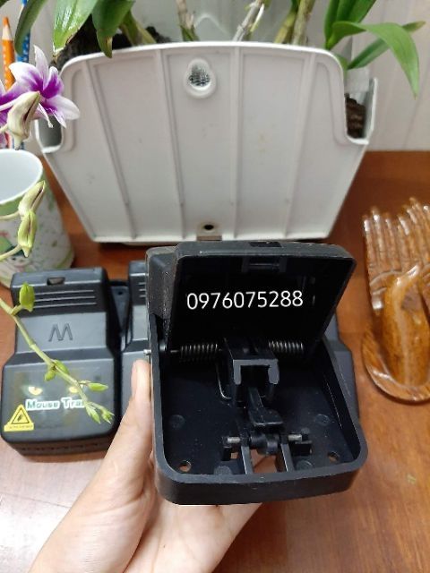 Bẫy sập chuột thông minh