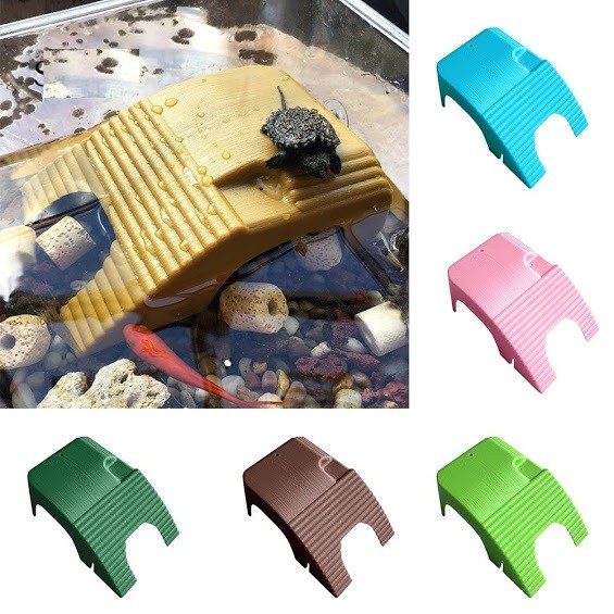 [hot sale]Bệ đứng phơi nắng cho rùa