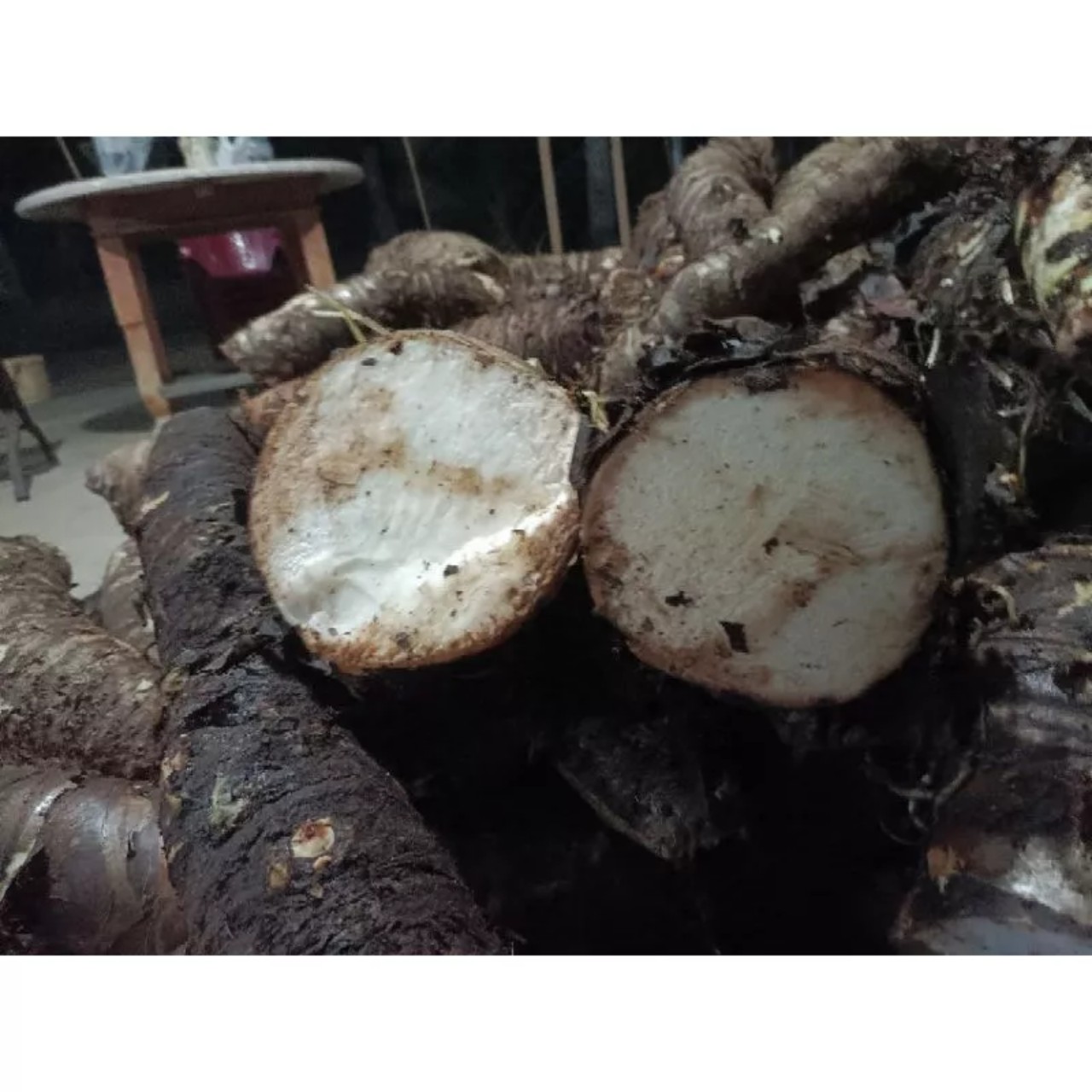 1kg CỦ BẠC HÀ NÚI CỦ BẠC HÀ NÚI