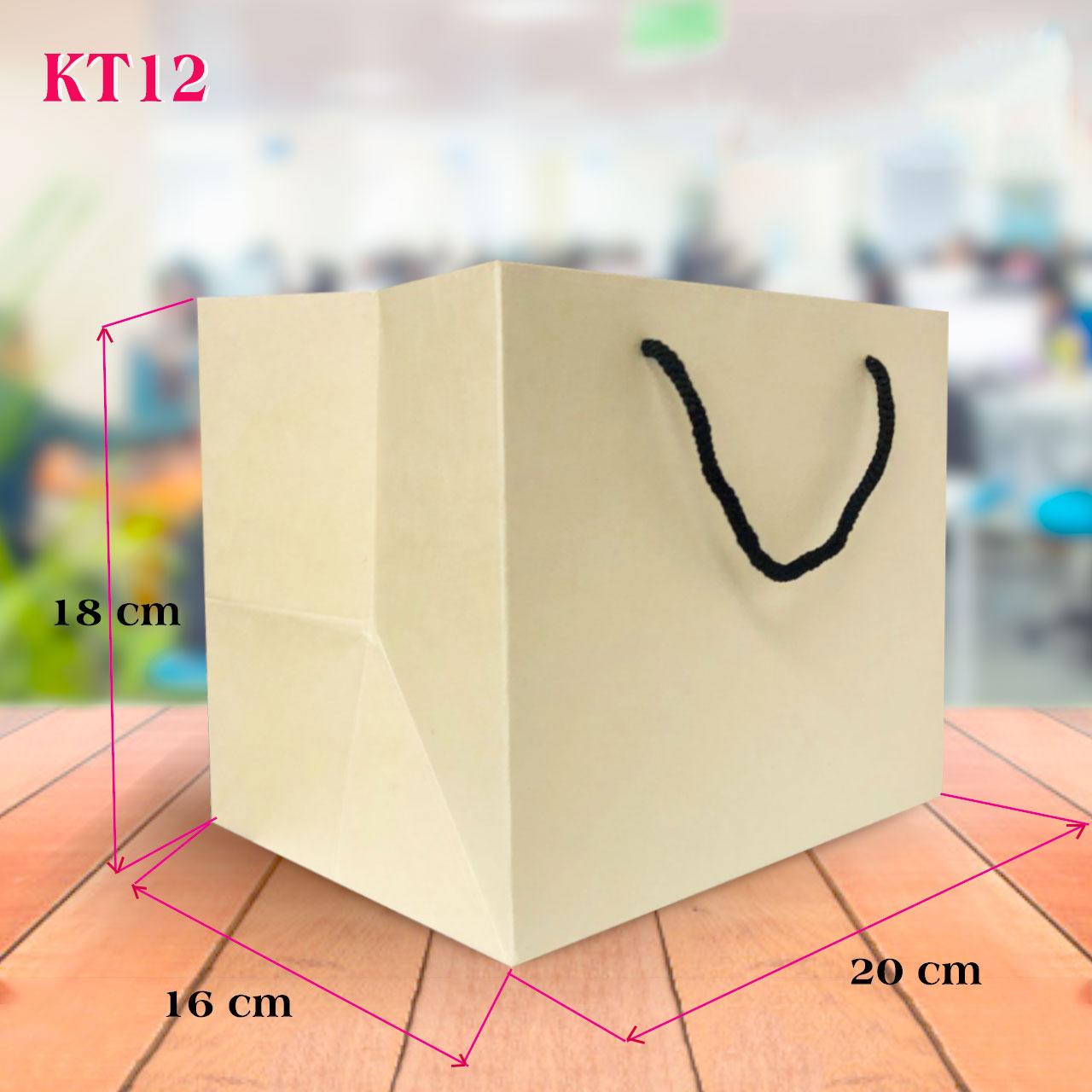 Combo 100 Túi Giấy trơn KT12 (KT: 18 x 22 x16cm)