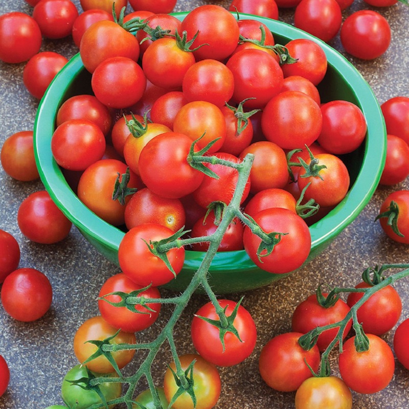 🍅Hạt Giống Cà Chua Bi🍅 (Tỉ Lể Nảy Mầm Cao, Siêu Ngọt Thơm) - 1gr/gói