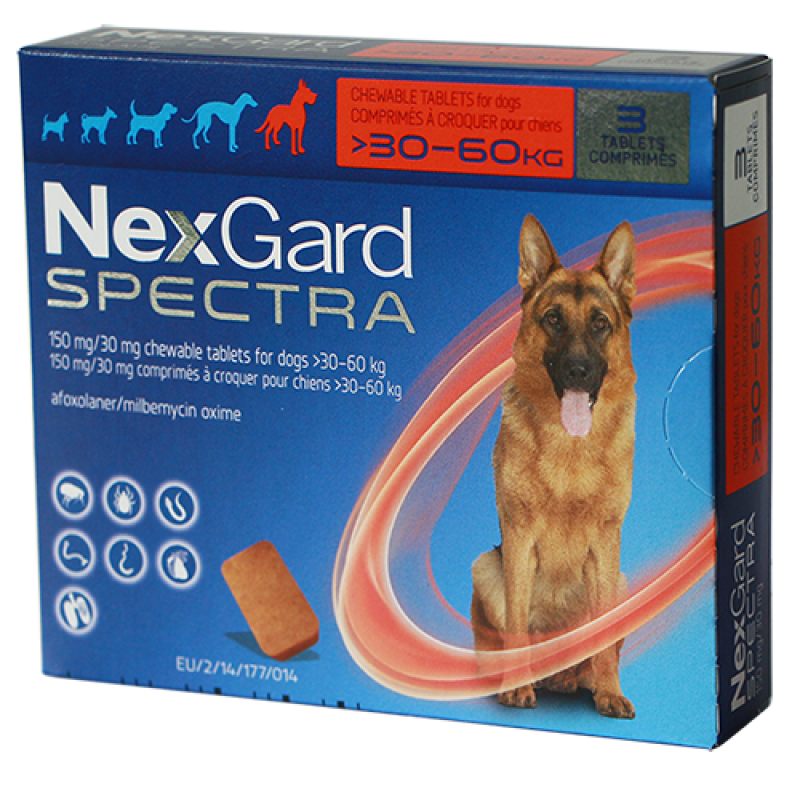 NEXGARD SPECTRA® size XL cho chó từ 30.1-60 kg (8g/viên x 3 viên/hộp)