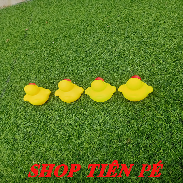 COMBO 4 CON VỊT GẮN PÔ E