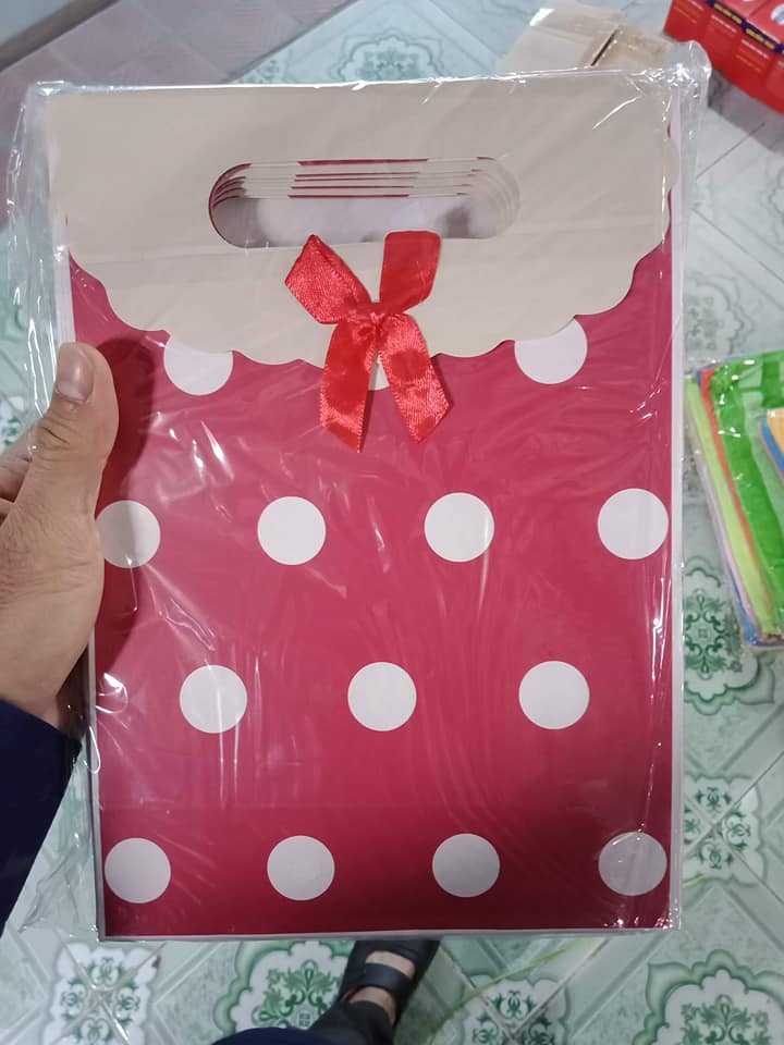 sét 12 túi đựng quà đẹp