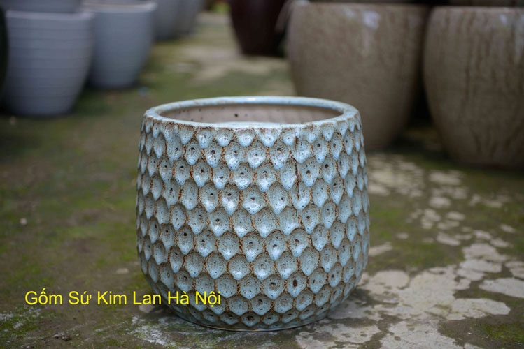 orchid flower pots