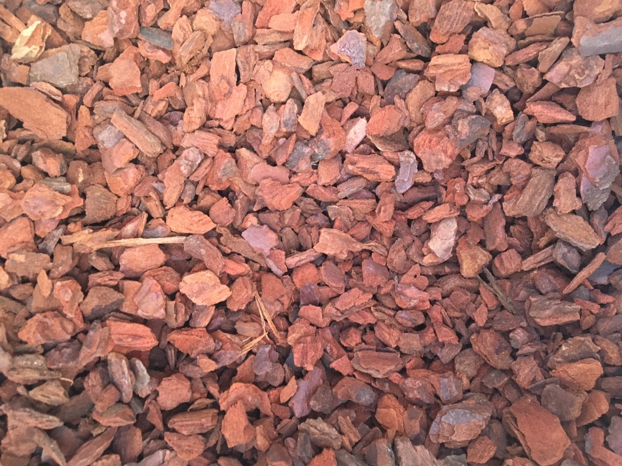 Vỏ thông nhập khẩu ECOBARK bao 40 lít các size
