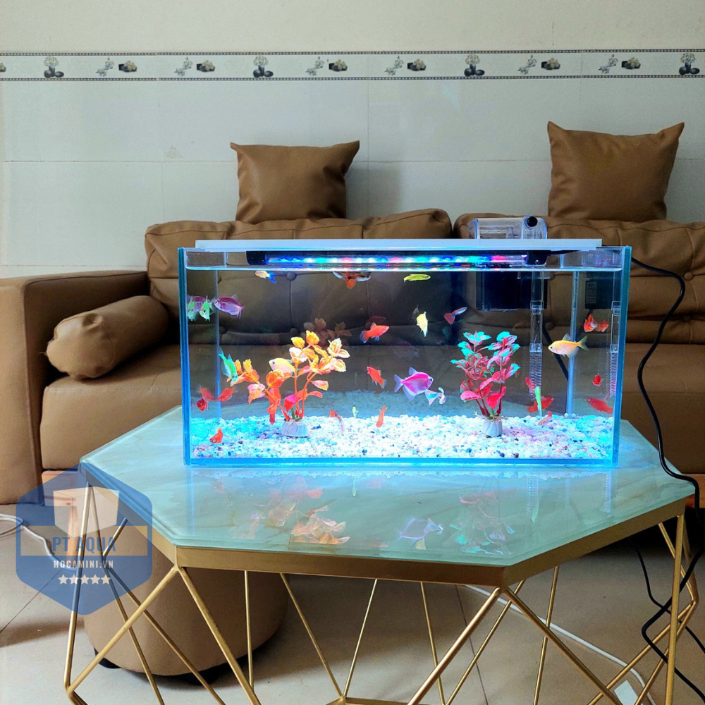 Bể cá mini 40cm COMBO đầy đủ phụ kiện