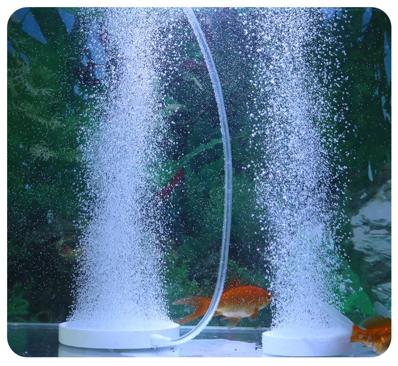 Đầu sủi oxi hình dĩa siêu mịn jeneca (tặng phụ kiện)