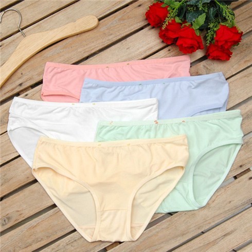 10 Quần Lót Nữ- Quần Lót Nữ Cotton Thái Trơn Giá Rẻ- Set 10 Quần