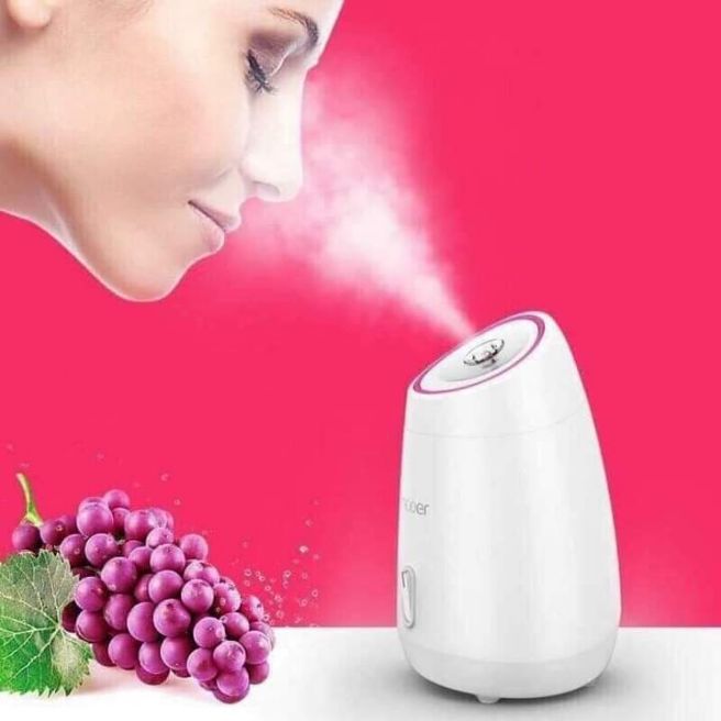 Máy xông mặt hoa quả Maoer