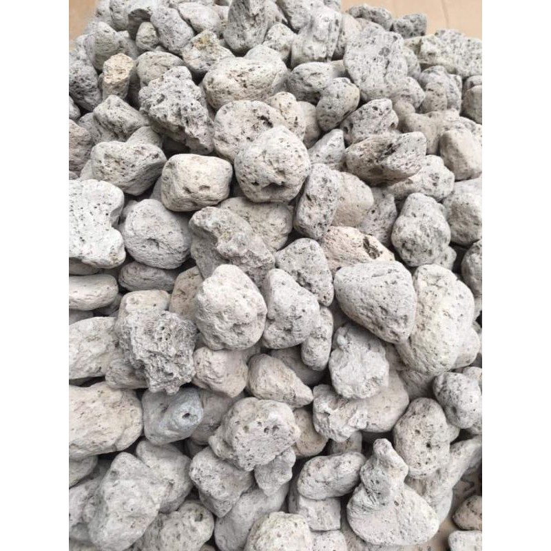 Đá lông vũ indo 2-4 , 500g nham thạch trắng đá bọt