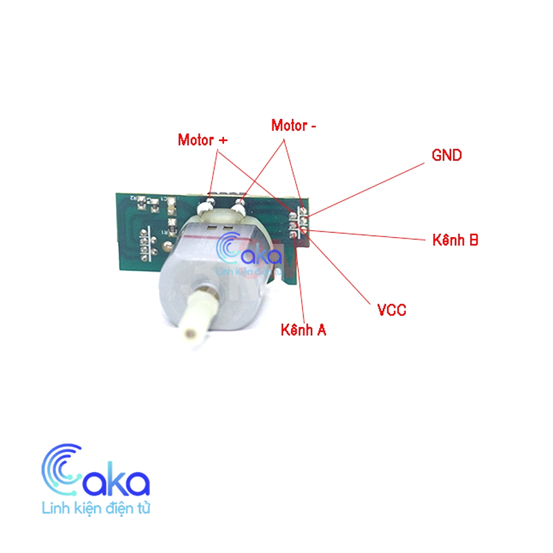 Động cơ Encoder 334 xung không giảm tốc