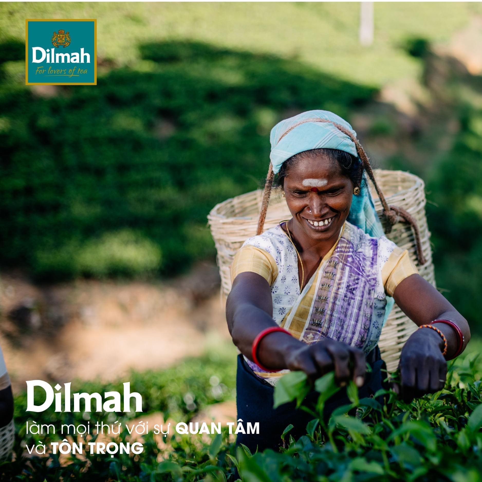 Trà Dilmah Vị Dâu - Strawberry 30g