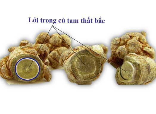 1KG CỦ TAM THẤT BẮC ( LOẠI 7 - 8 CỦ)