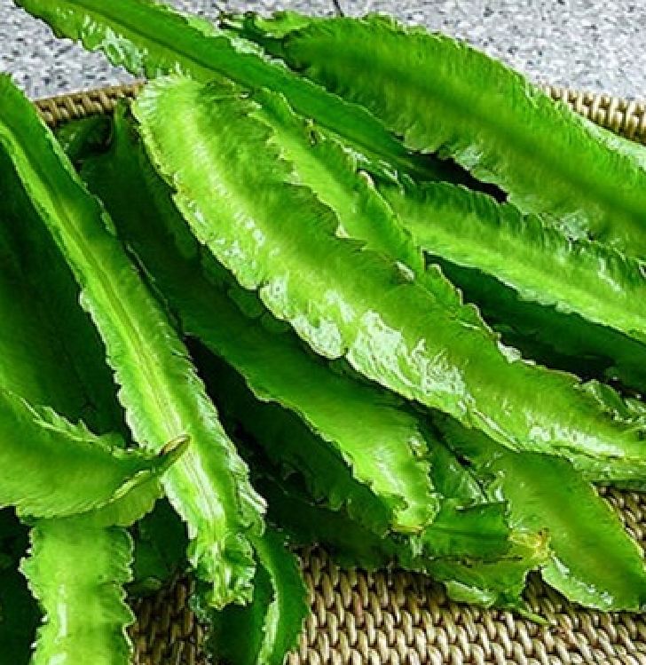 Túi 5gram Hạt giống đậu rồng