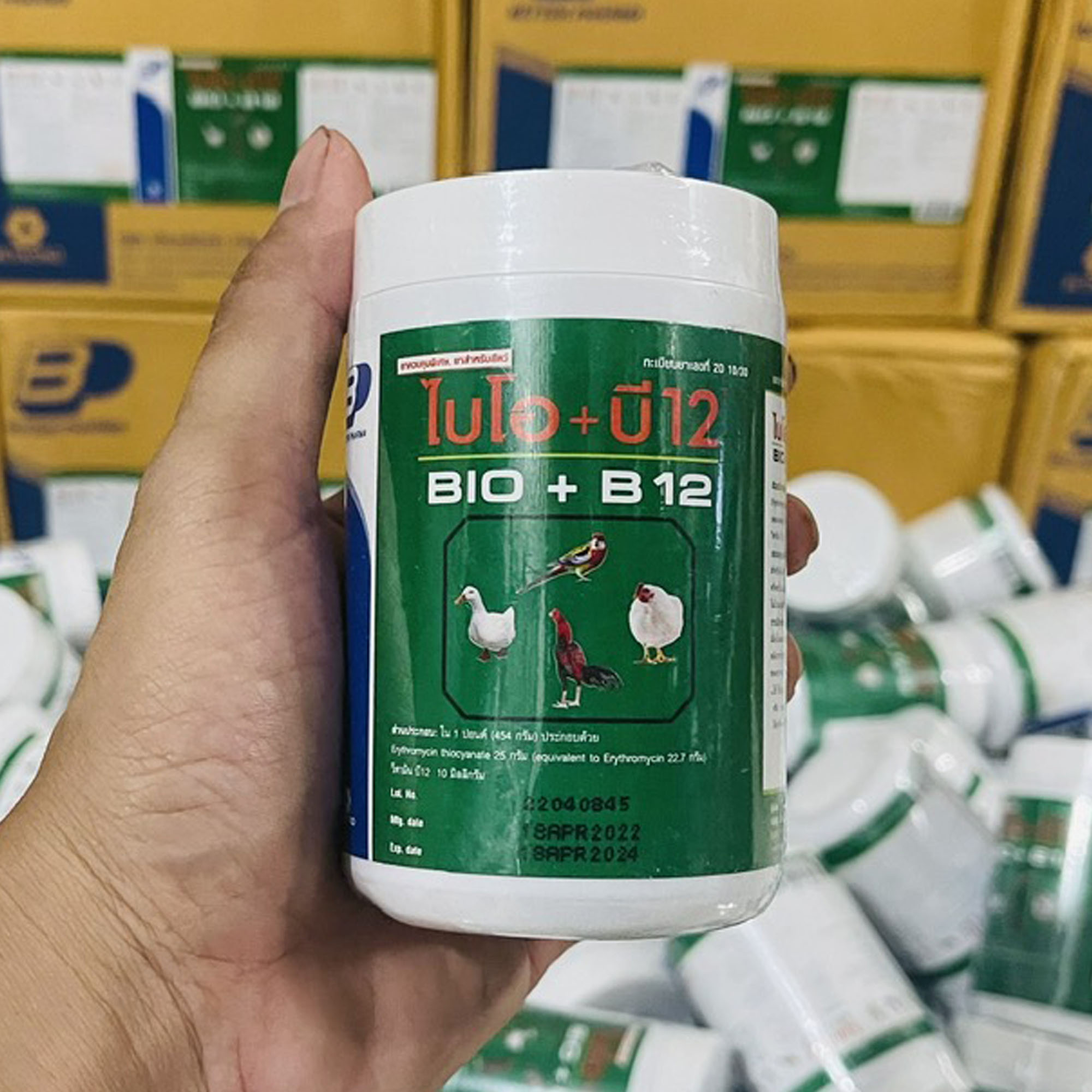 BIO-B12 Hộp 100gr Úm Gà Con Đá Chim Cảnh
