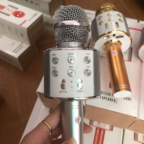 [HCM]MIC KARAOKE WS 858 LOẠI 1 - WS-858