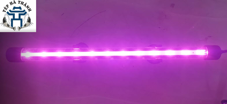 [Hoàn Tiền 10%] Đèn Led T4-30 Màu Hồng Cho Bể Cá Cảnh, Bể Thủy Sinh 30-40cm