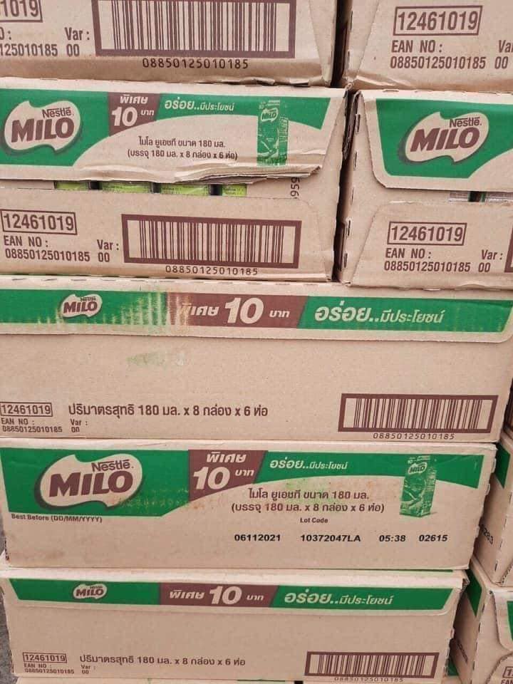 Milo Thái