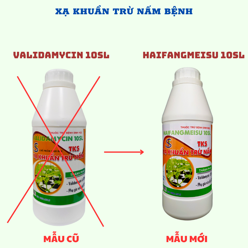 Xạ khuẩn Trừ Bệnh VALIDAMYCIN 10SL (10%)  Chai 900ml: thối nhũn dưa, thối rễ, héo xanh