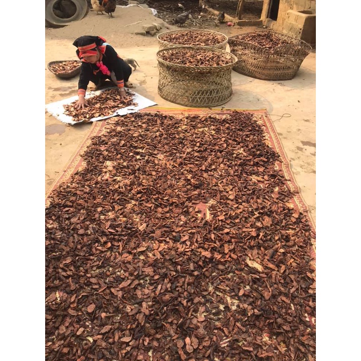 Hà thủ ô đỏ đã sơ chế 1kg