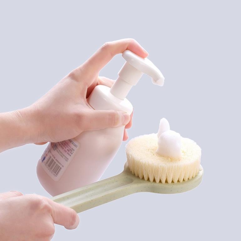 Chổi cọ lưng Nhật Bản