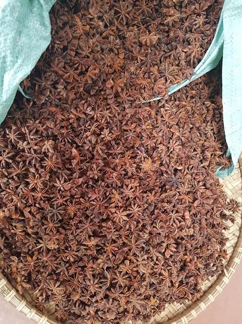 100g Hoa Hồi Khô Lạng Sơn
