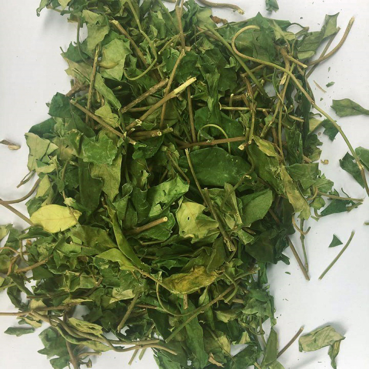[Trà khô chất lượng cao] Dây thìa canh khô 1kg - Thảo Dược Tấn Phát - Hàng công ty chất lượng cao - Hỗ trợ cải thiện sức khoẻ