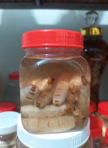 Bà Mối Lớn 20 con