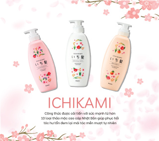 Dầu gội dưỡng và phục hồi Ichikami giúp tóc Suôn Mượt Dưỡng Ẩm Bồng Bềnh 480ml new chính hãng thumbnail