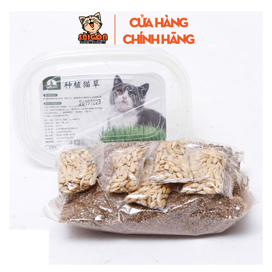 Bộ trồng - Bộ Kit, ngâm hạt giống, gieo trồng, chăm sóc và thu hoạch cỏ mèo