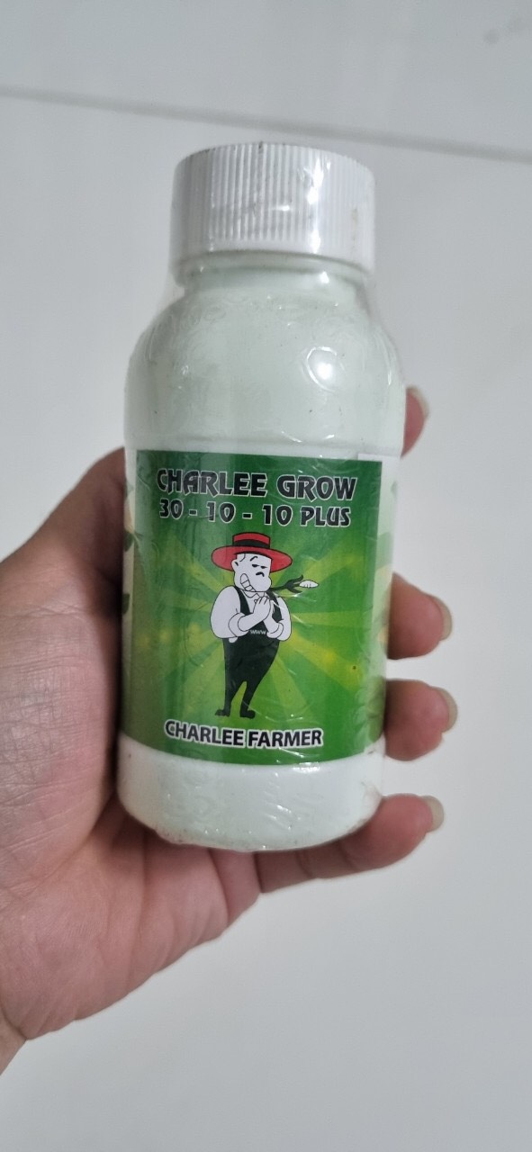 COMBO PHÂN LÁ MÍT