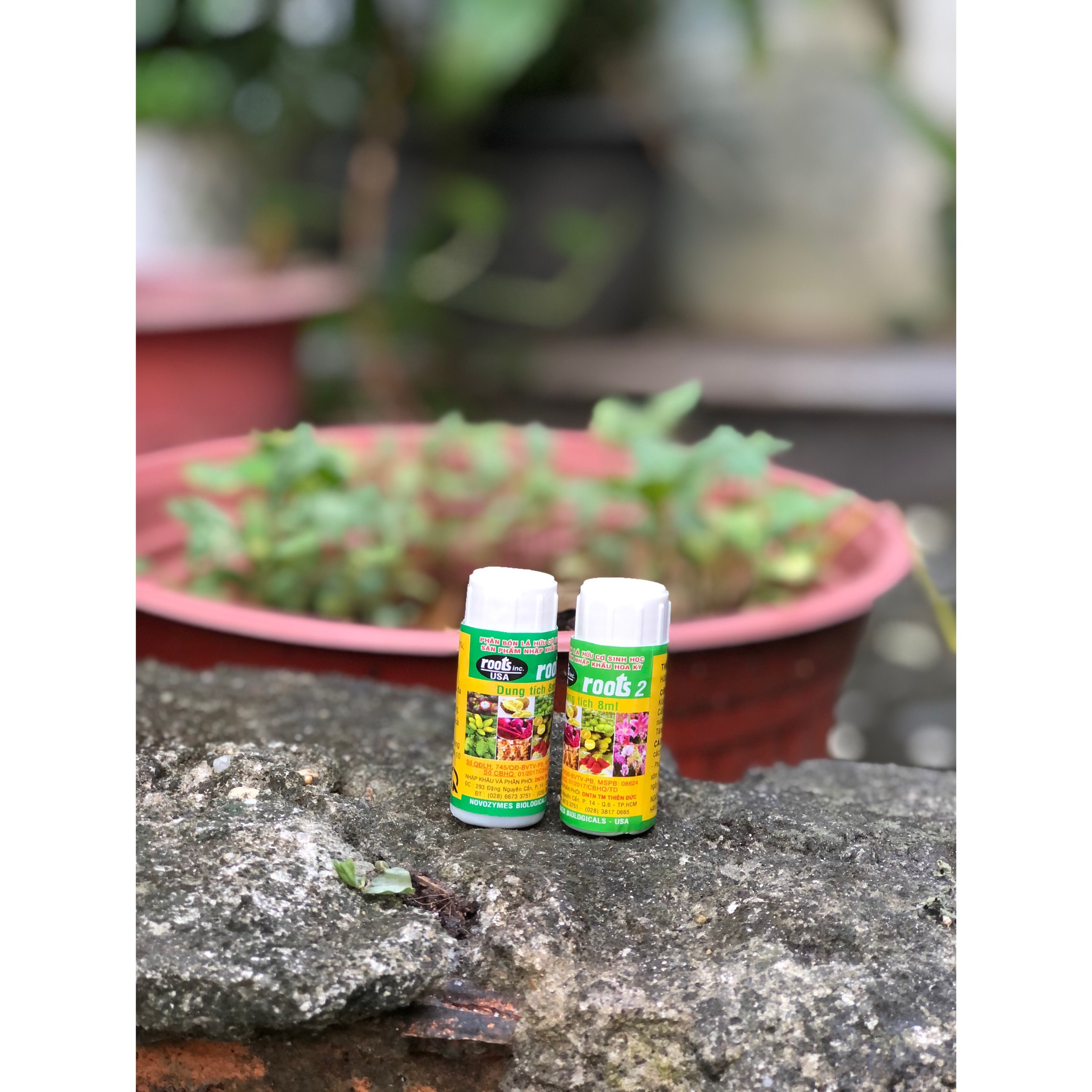 Phân bón lá cao cấp kích rễ Roots 2 nguyên liệu nhập USA - Tuýt - 8ml