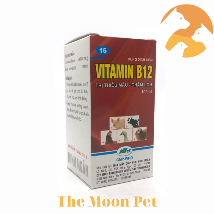 Vitamin B12 [100 ml] cho vật nuôi thiếu máu, chậm lớn.